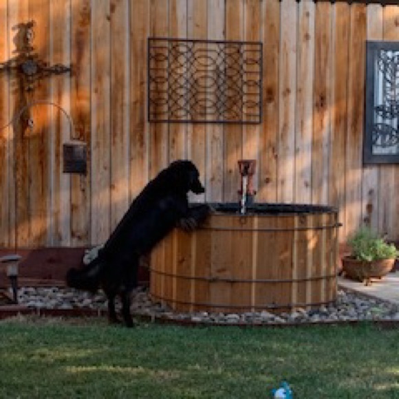 Meet your Posher, Stacy - Picture 3 of 3